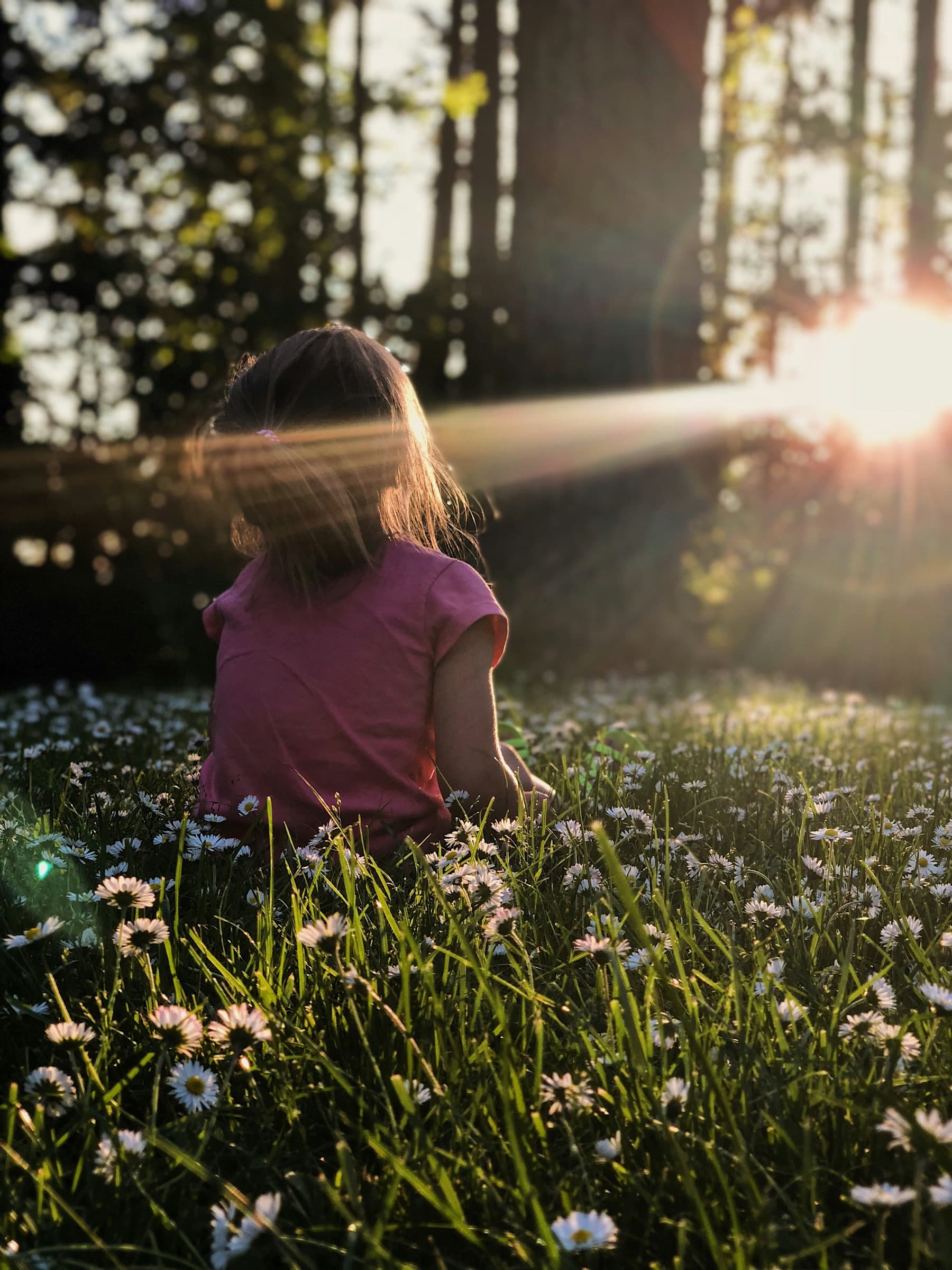 A child sitting in a field of long grass and flowers