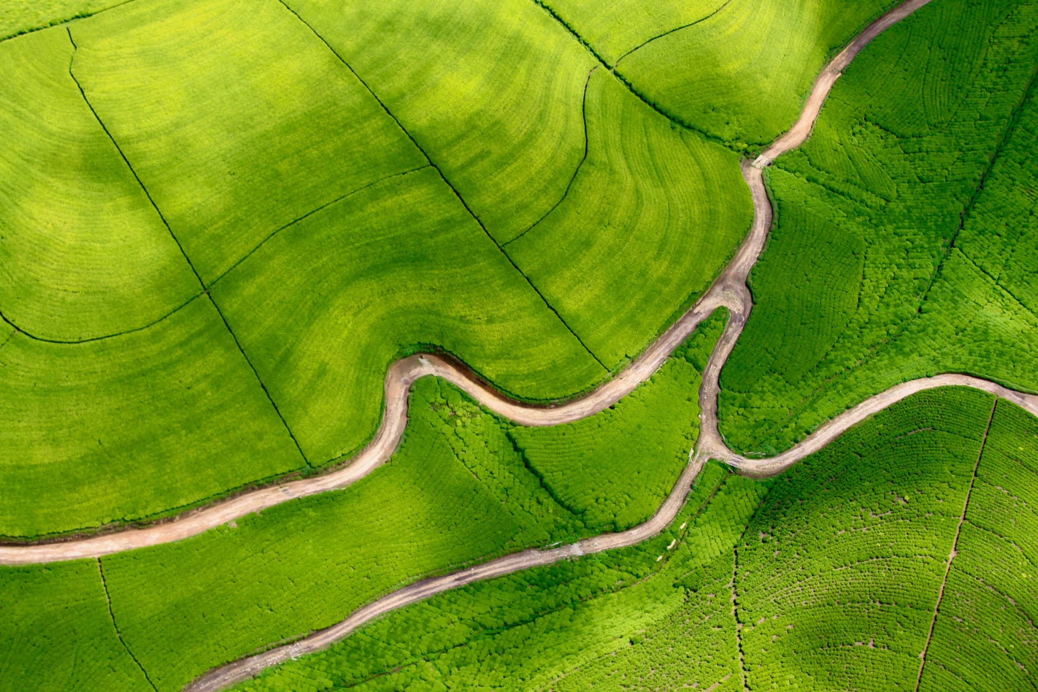Farmland from above, tracks threading between green fields