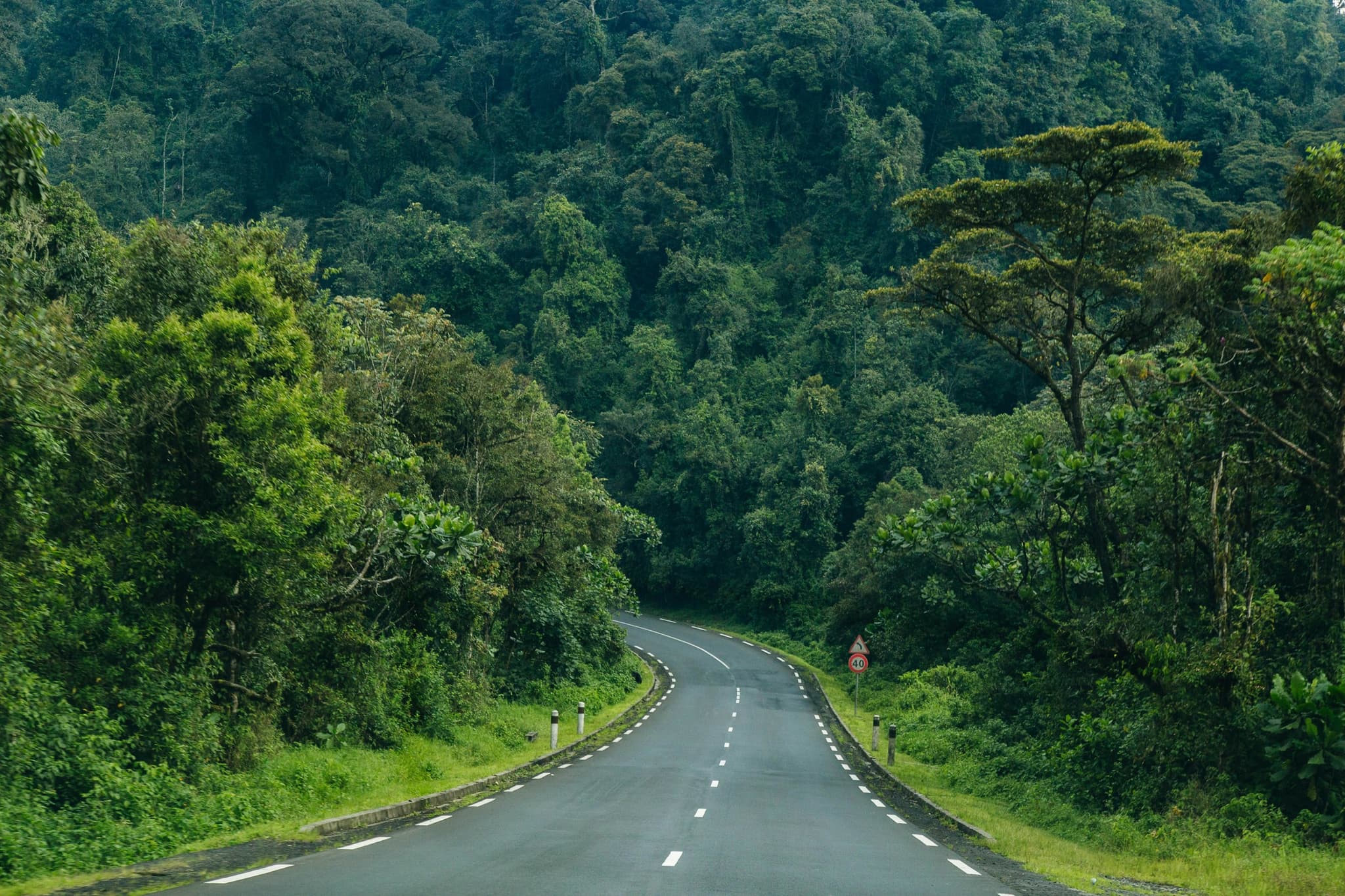 An empty road curving away through green hills